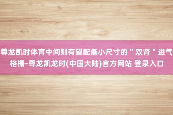 尊龙凯时体育中间则有望配备小尺寸的＂双肾＂进气格栅-尊龙凯龙时(中国大陆)官方网站 登录入口