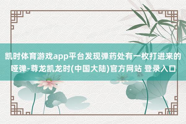 凯时体育游戏app平台发现弹药处有一枚打进来的哑弹-尊龙凯龙时(中国大陆)官方网站 登录入口