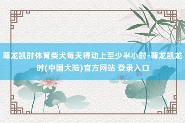 尊龙凯时体育柴犬每天得动上至少半小时-尊龙凯龙时(中国大陆)官方网站 登录入口