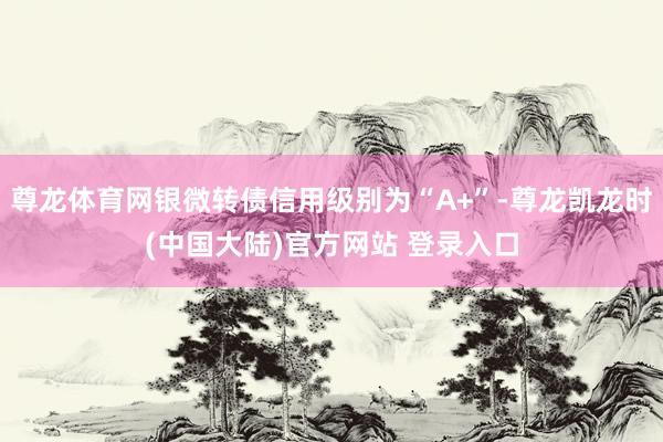 尊龙体育网银微转债信用级别为“A+”-尊龙凯龙时(中国大陆)官方网站 登录入口