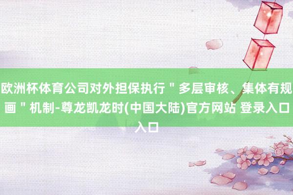 欧洲杯体育公司对外担保执行＂多层审核、集体有规画＂机制-尊龙凯龙时(中国大陆)官方网站 登录入口