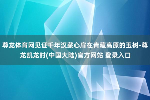 尊龙体育网见证千年汉藏心扉在青藏高原的玉树-尊龙凯龙时(中国大陆)官方网站 登录入口