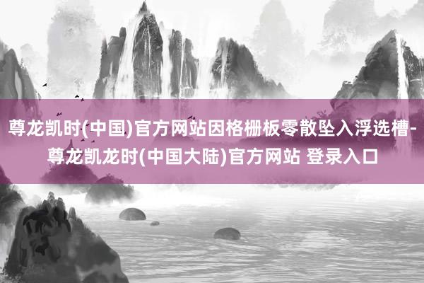 尊龙凯时(中国)官方网站因格栅板零散坠入浮选槽-尊龙凯龙时(中国大陆)官方网站 登录入口