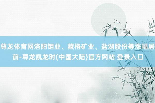 尊龙体育网洛阳钼业、藏格矿业、盐湖股份等涨幅居前-尊龙凯龙时(中国大陆)官方网站 登录入口