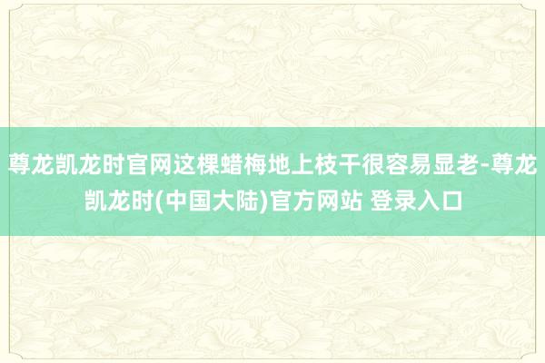 尊龙凯龙时官网这棵蜡梅地上枝干很容易显老-尊龙凯龙时(中国大陆)官方网站 登录入口