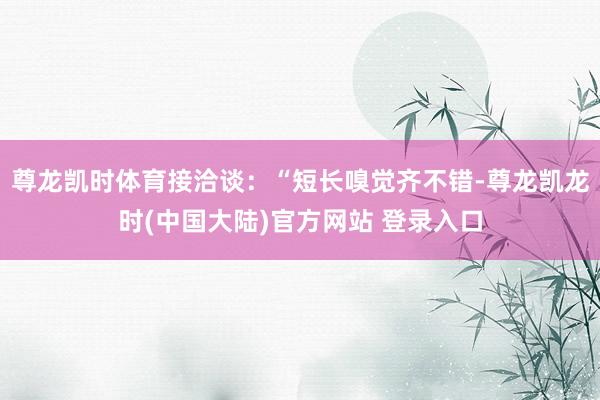尊龙凯时体育接洽谈：“短长嗅觉齐不错-尊龙凯龙时(中国大陆)官方网站 登录入口